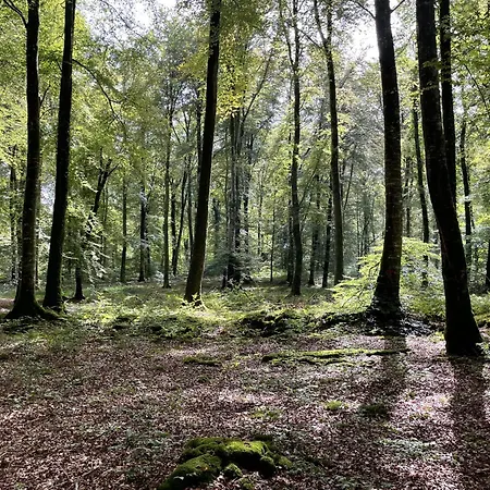 Les Maisons Des Halles *
