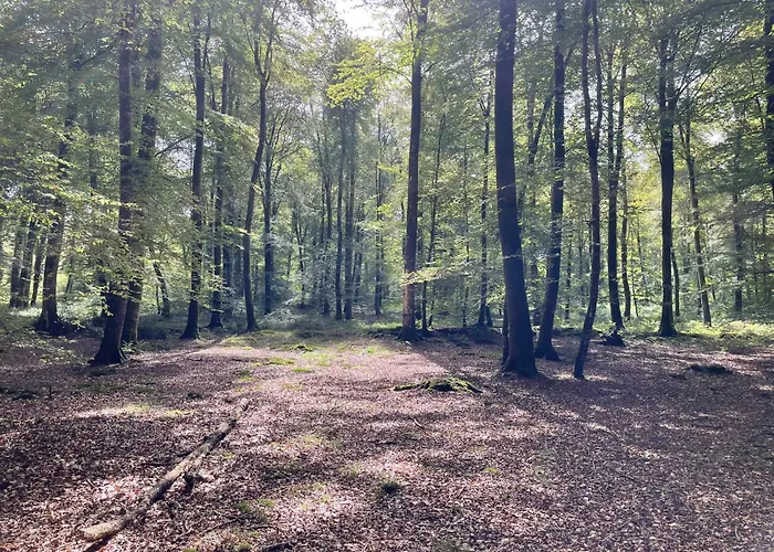Les Maisons Des Halles Feriehus *