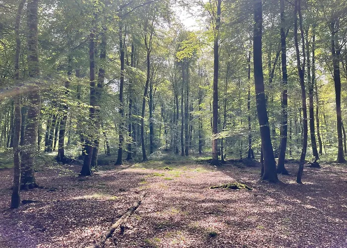 Feriehus Les Maisons Des Halles