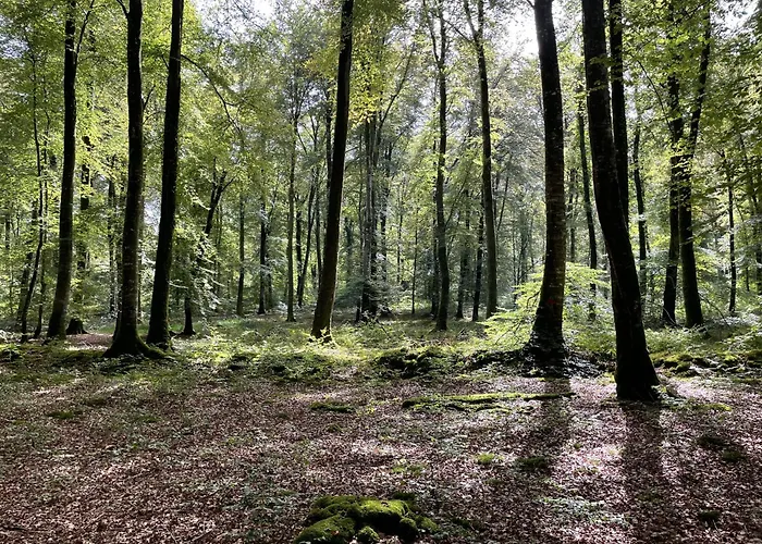 Les Maisons Des Halles *